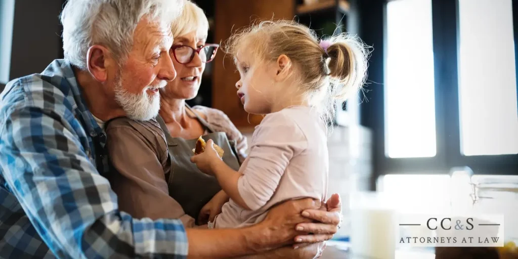 best minneapolis grandparents’ rights lawyer best minneapolis grandparents’ rights lawyer
